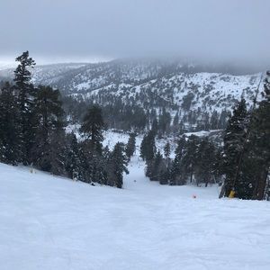 Meet your Posher, Aiden